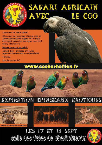 Exposition d'oiseaux exotique du COO, 2011, club ornithologique de Oberhoffen sur moder