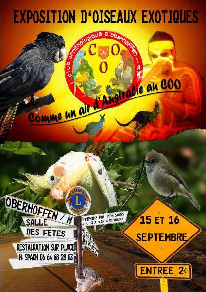 Exposition d'oiseaux exotique du COO, 2012, club ornithologique de Oberhoffen sur moder