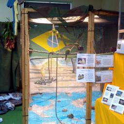 Volière bois avec oiseaux exotiques, exposition oiseaux exotique 2013, coo oberhoffen haguenau grand est alsace