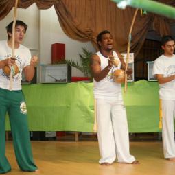 groupe de capoeira, exposition oiseaux exotique 2010, coo oberhoffen haguenau grand est alsace